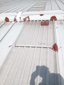 WhatsApp Image 2020-08-15 at 12.52.48